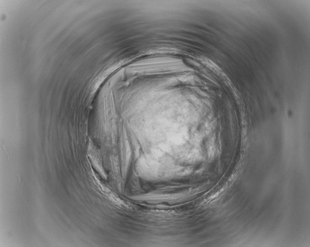 X0000053150945200508012306