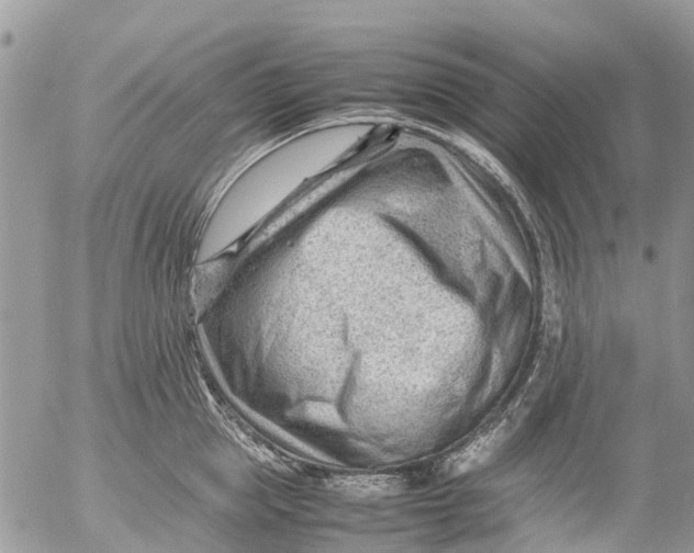 X0000053150953200508012306