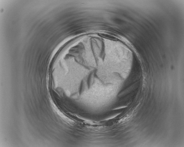X0000053150955200508012306
