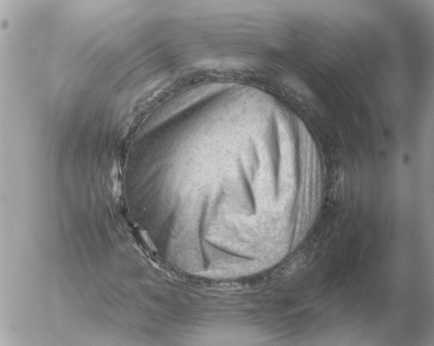 X0000053150966200508012305