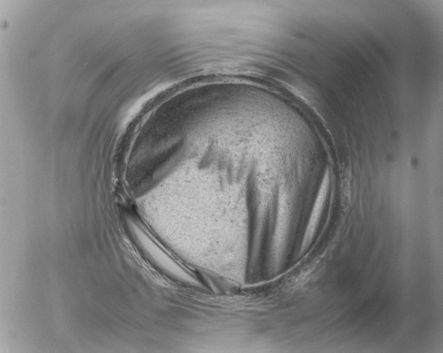 X0000053150971200508012305