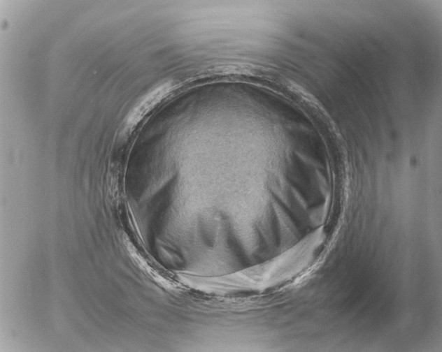 X0000053150977200508012305