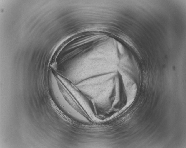 X0000053150980200508012305