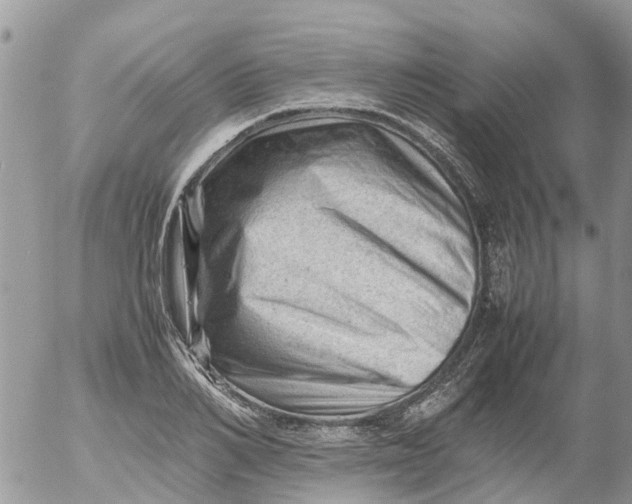 X0000053150982200508012305