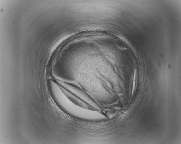 X0000053150983200508012305