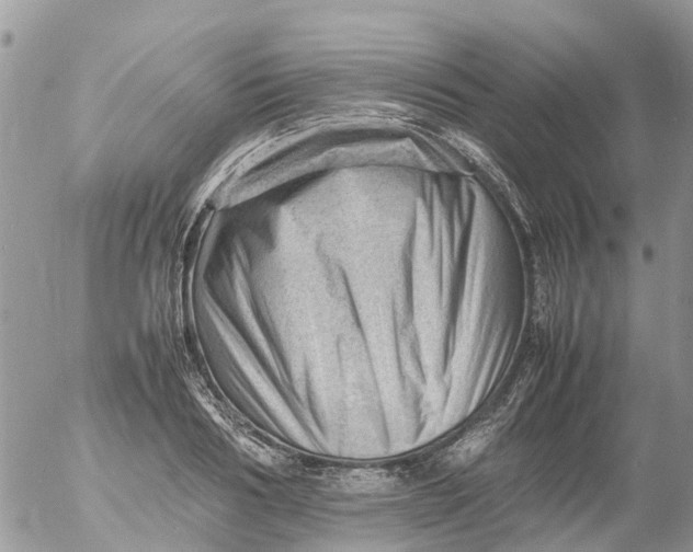X0000053150986200508012305
