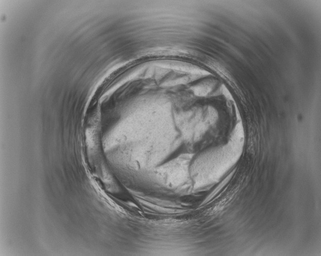 X0000053150992200508012305