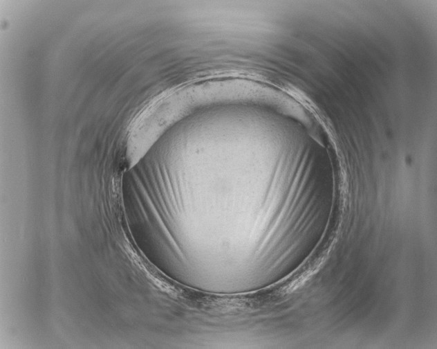 X0000053150993200508012305
