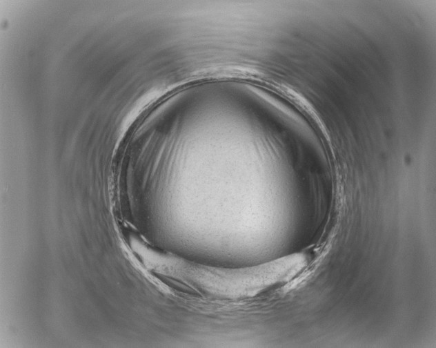 X0000053150997200508012305