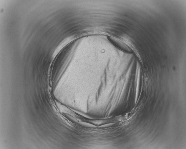 X0000053151002200508012305