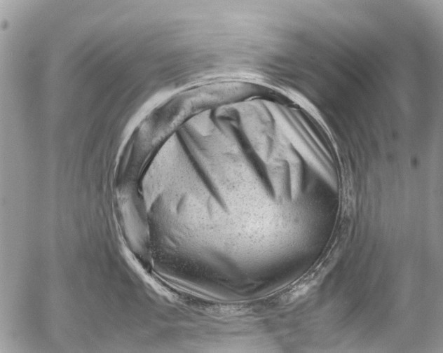 X0000053151005200508012305