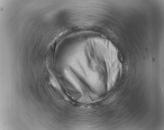 X0000053151012200508012304