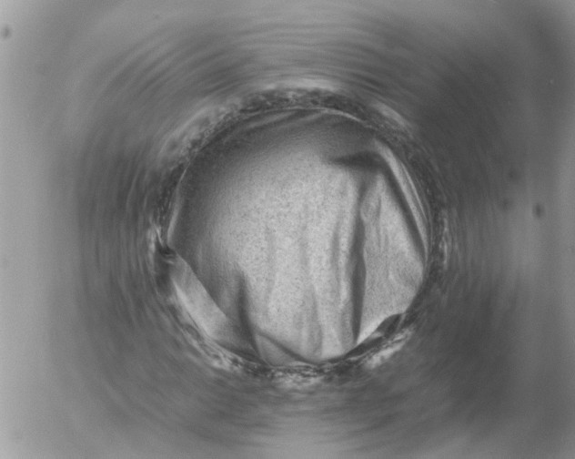X0000053151014200508012304