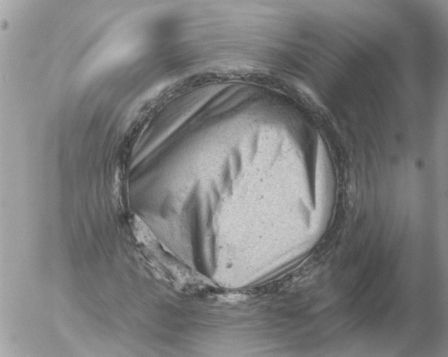 X0000053151016200508012304
