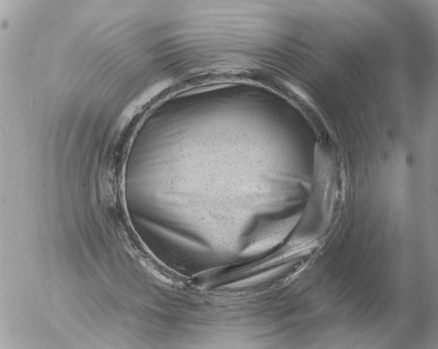 X0000053151018200508012304