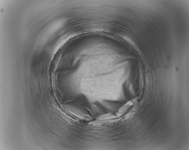X0000053151023200508012304