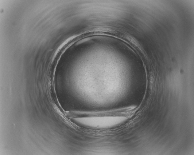 X0000053151024200508012304