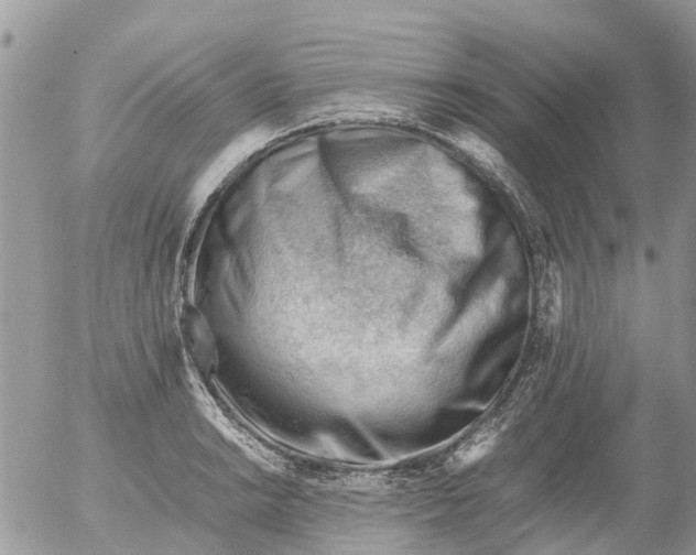 X0000053151038200508012304