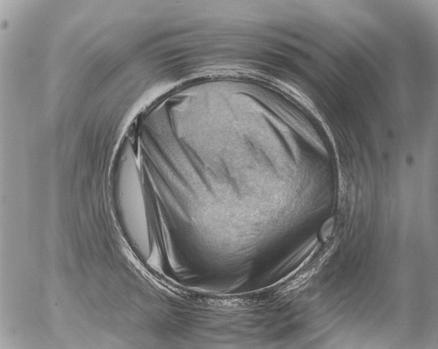 X0000053151045200508012304