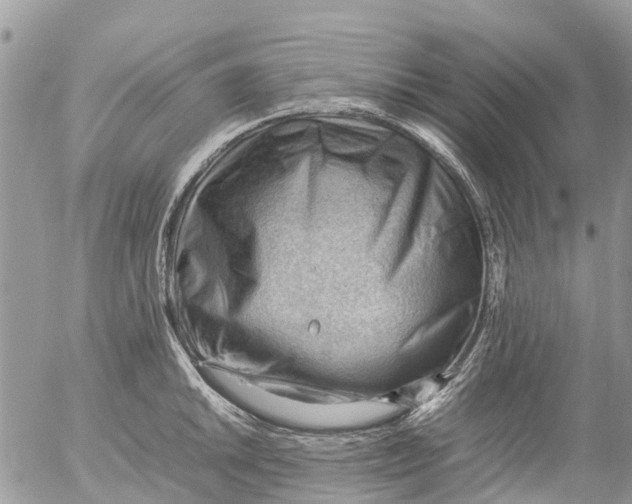 X0000053151046200508012304