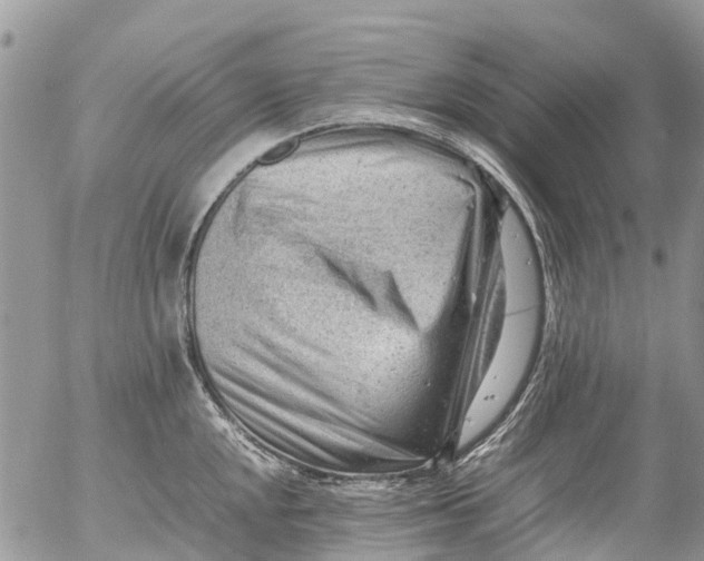 X0000053151048200508012305