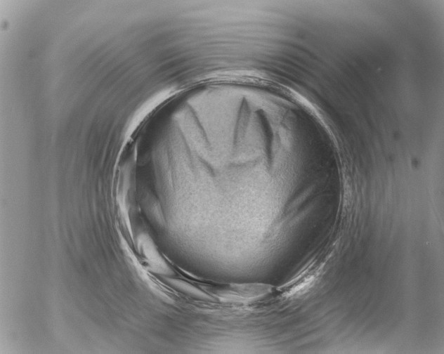 X0000053151050200508012305