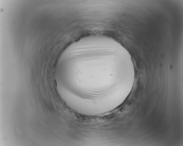 X0000053151057200508012304