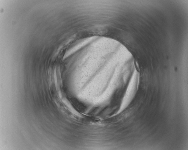 X0000053151058200508012304