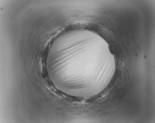X0000053151061200508012304