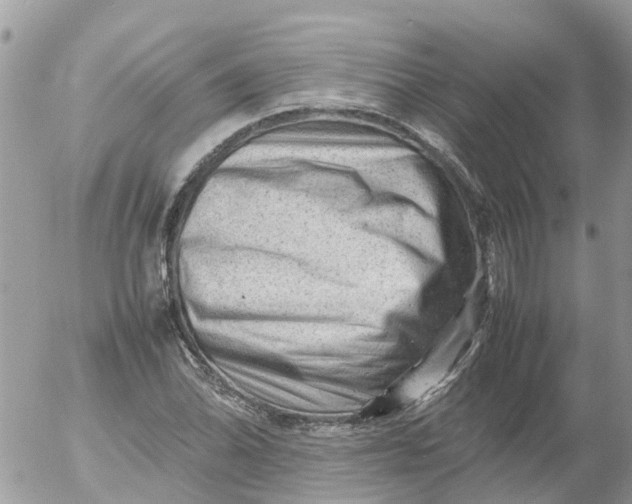 X0000053151070200508012304