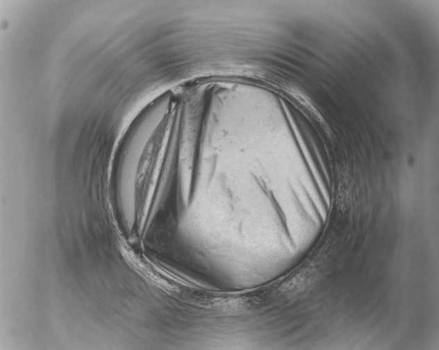 X0000053151080200508012303