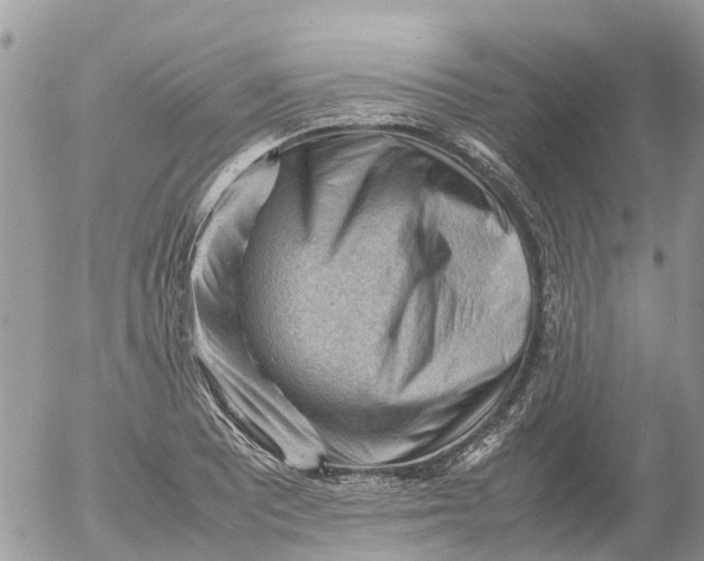 X0000053151081200508012303
