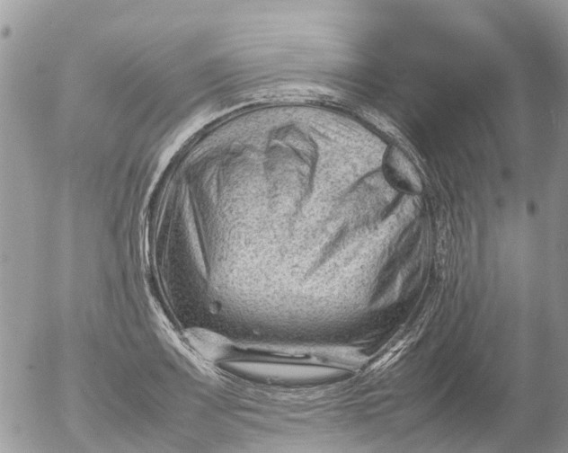 X0000053151083200508012303