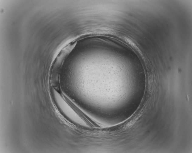 X0000053151085200508012303