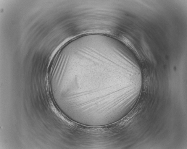 X0000053151092200508012303