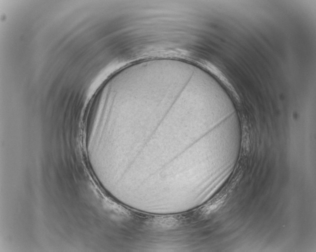 X0000053151094200508012303