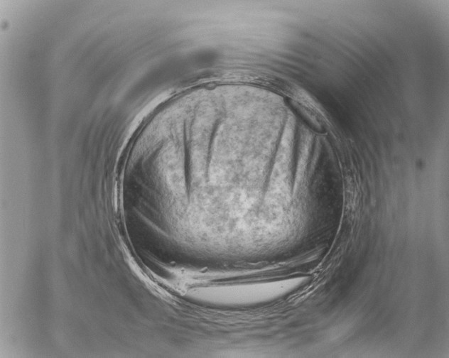X0000053151095200508012303