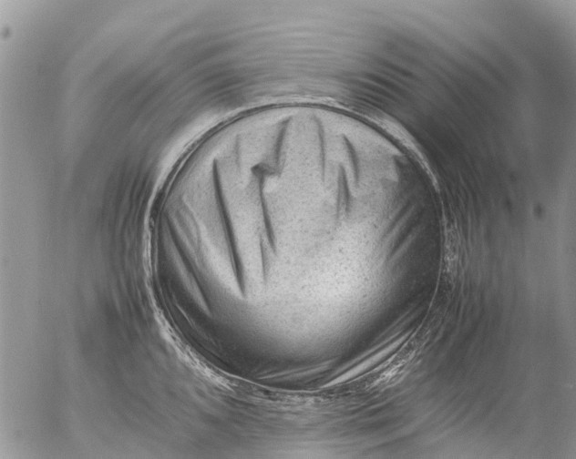 X0000053151096200508012303