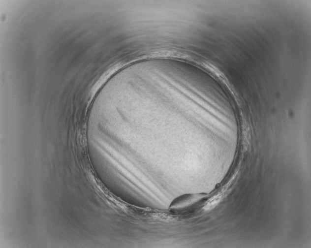 X0000053151097200508012303