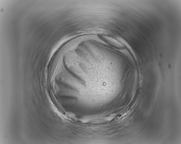 X0000053151099200508012303