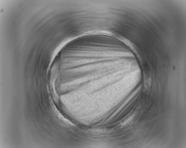 X0000053151102200508012303