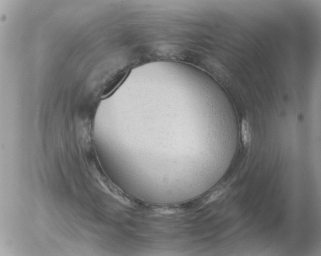 X0000053151107200508012302