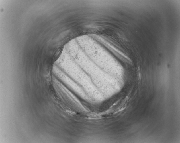 X0000053151109200508012302