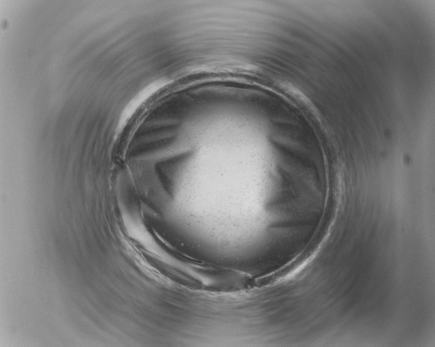 X0000053151114200508012302