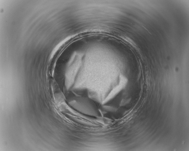 X0000053151120200508012302