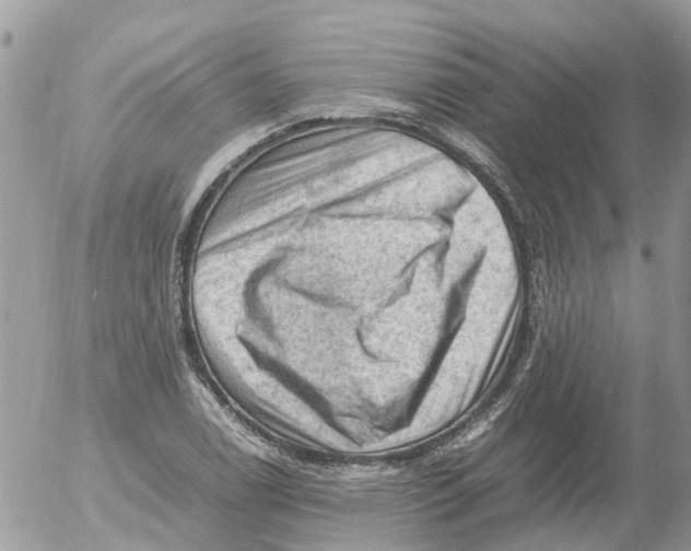 X0000053151122200508012303