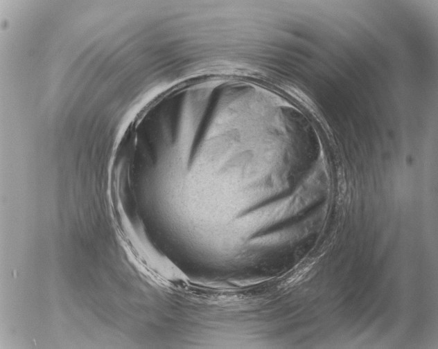 X0000053151128200508012303