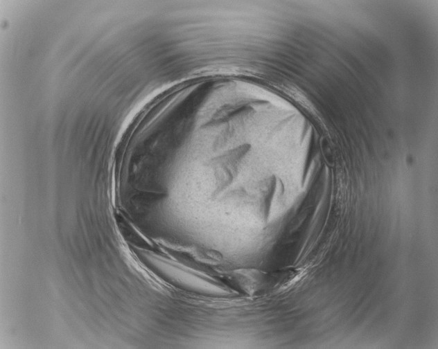 X0000053151132200508012303