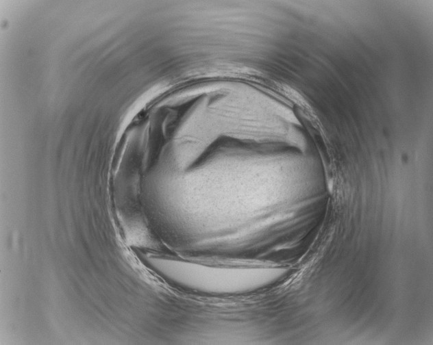 X0000053151138200508012303