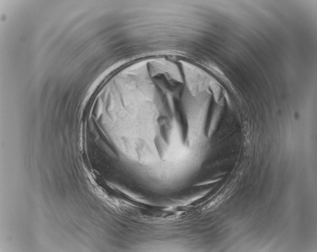 X0000053151140200508012303